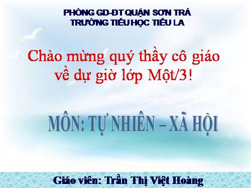 Bài 13. Công việc ở nhà.