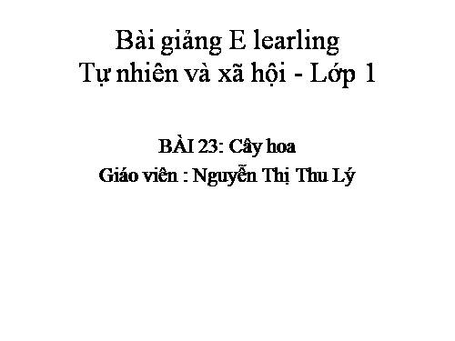 Bài 23. Cây hoa