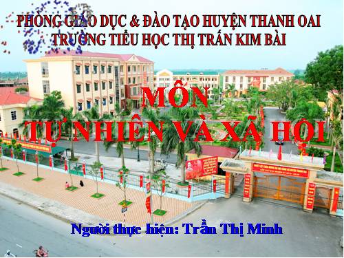 Bài 20. An toàn trên đường đi học