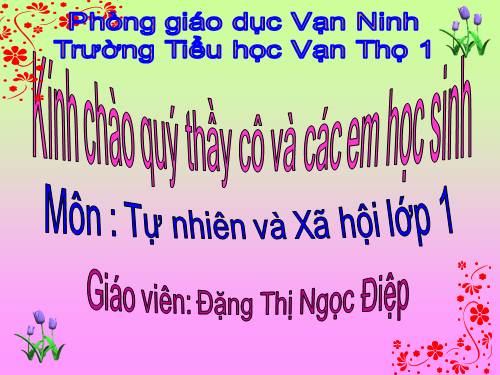 Bài 29. Nhận biết cây cối và con vật