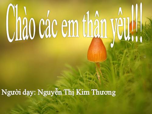 Bài 4. Bảo vệ mắt và tai