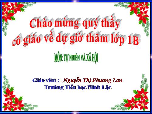 Bài 29. Nhận biết cây cối và con vật