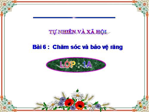 Bài 6. Chăm sóc và bảo vệ răng