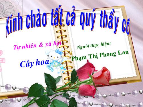 Bài 23. Cây hoa