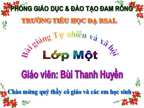 Bài 28. Con muỗi