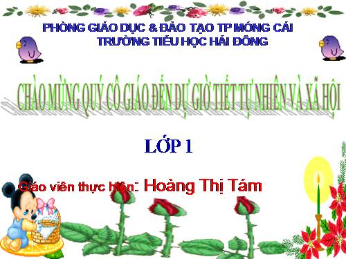 Bài 13. Công việc ở nhà.