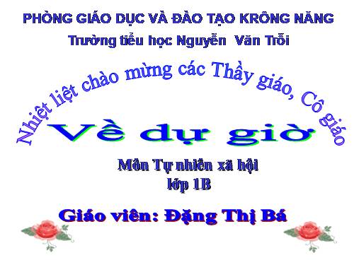 Bài 20. An toàn trên đường đi học