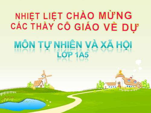 Bài 14. An toàn khi ở nhà