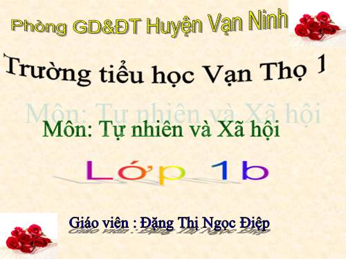 Bài 9. Hoạt động và nghỉ ngơi