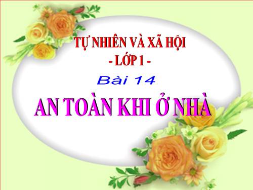 Bài 14. An toàn khi ở nhà