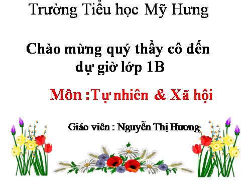 Bài 9. Hoạt động và nghỉ ngơi