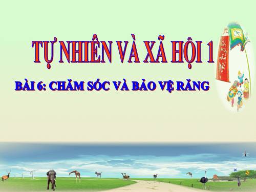 Bài 6. Chăm sóc và bảo vệ răng