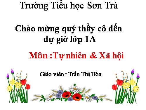 Bài 9. Hoạt động và nghỉ ngơi