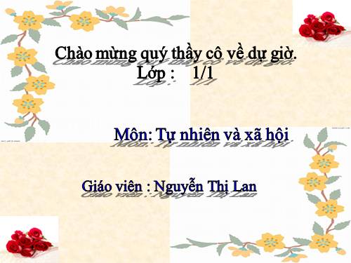 Bài 9. Hoạt động và nghỉ ngơi