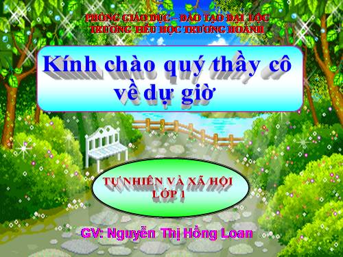 Bài 24. Cây gỗ