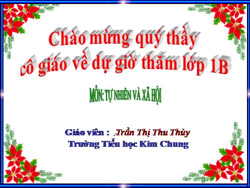 Bài 29. Nhận biết cây cối và con vật