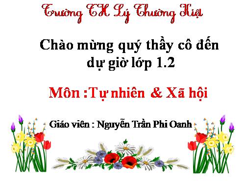 Bài 9. Hoạt động và nghỉ ngơi