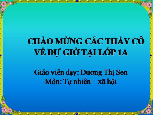 Bài 29. Nhận biết cây cối và con vật