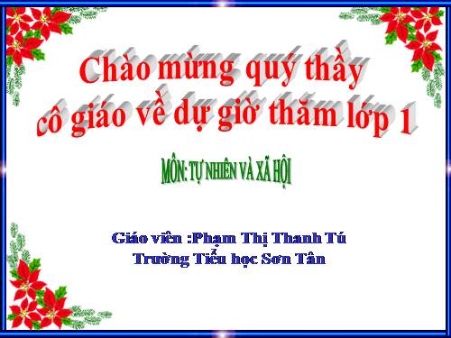 Bài 29. Nhận biết cây cối và con vật