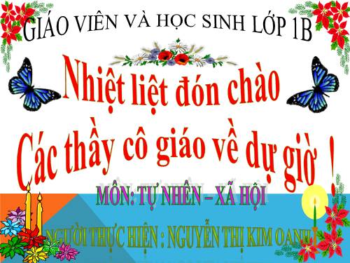 Bài 11. Gia đình