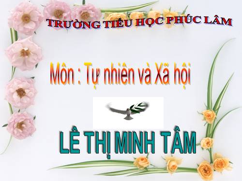 Bài 20. An toàn trên đường đi học