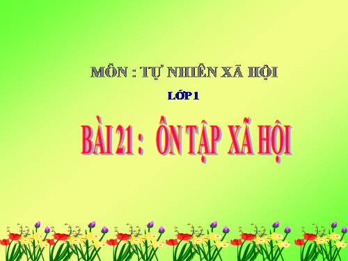 Bài 21. Ôn tập: Xã hội