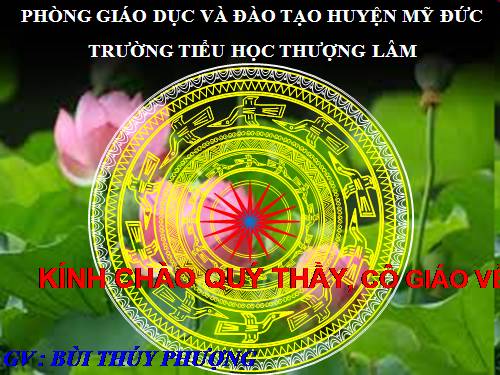 Bài 20. An toàn trên đường đi học