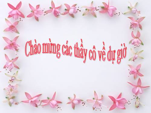 Bài 19. Cuộc sống xung quanh (tiếp theo)