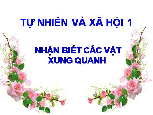 Bài 3. Nhận biết các vật xung quanh