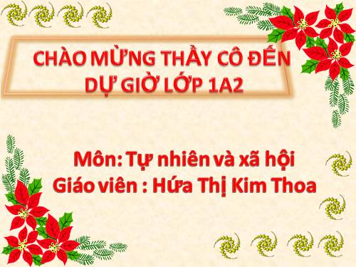 Bài 14. An toàn khi ở nhà