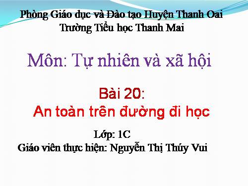 Bài 20. An toàn trên đường đi học