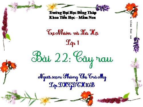 Bài 22. Cây rau