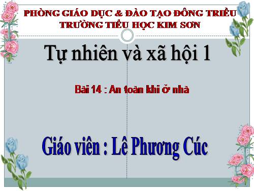 Bài 14. An toàn khi ở nhà