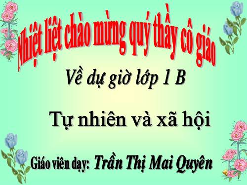 Bài 14. An toàn khi ở nhà