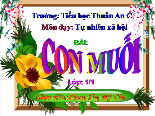 Bài 28. Con muỗi