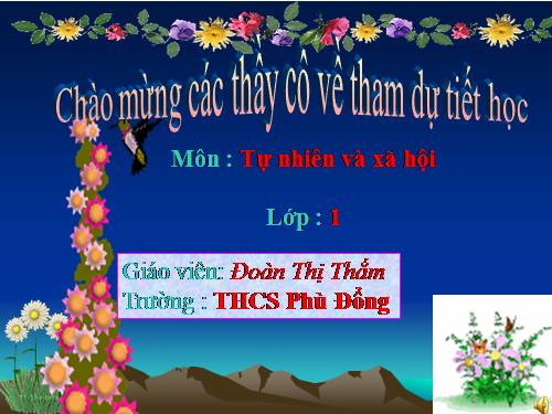 Bài 16. Hoạt động ở lớp