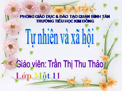 Bài 11. Gia đình