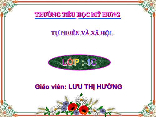 Bài 6. Chăm sóc và bảo vệ răng