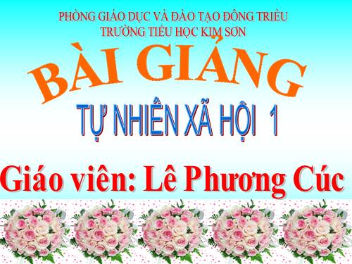 Bài 5. Vệ sinh thân thể