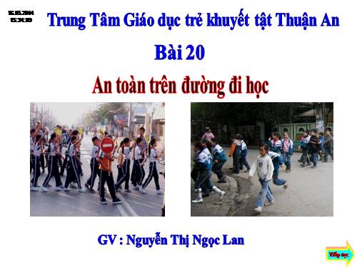 Bài 20. An toàn trên đường đi học