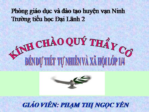 Bài 12. Nhà ở