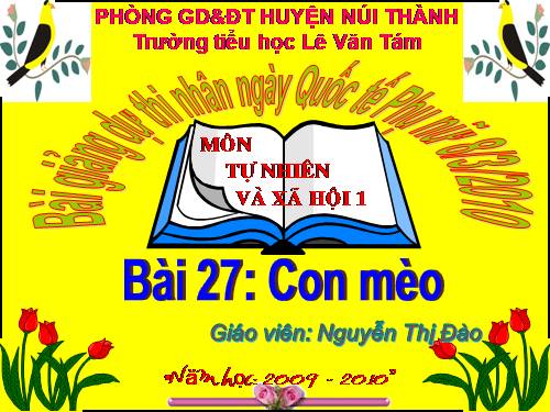 Bài 27. Con mèo