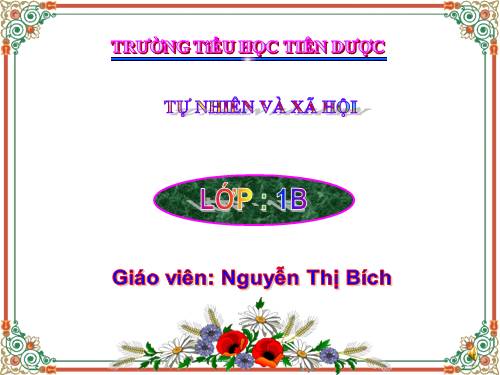 Bài 6. Chăm sóc và bảo vệ răng