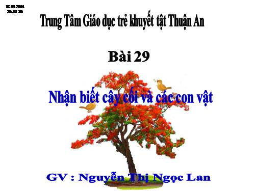 Bài 29. Nhận biết cây cối và con vật