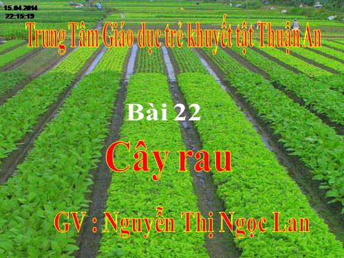 Bài 22. Cây rau