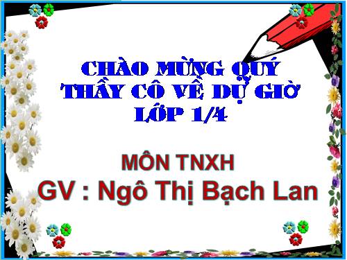 Bài 8. Ăn, uống hàng ngày