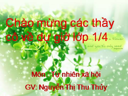 Bài 12. Nhà ở