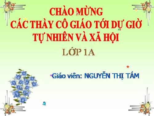 Bài 6. Chăm sóc và bảo vệ răng