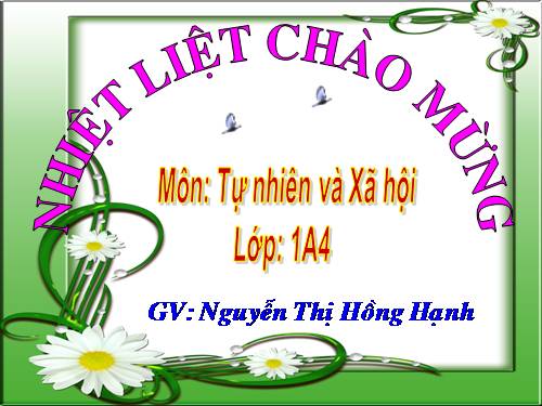 Bài 16. Hoạt động ở lớp