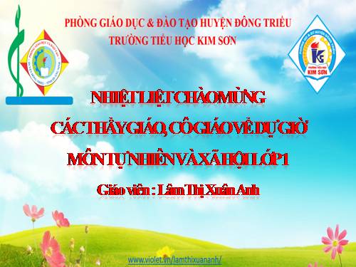 Bài 20. An toàn trên đường đi học